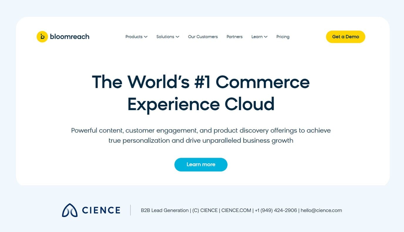 Customer_Data_Platform_10